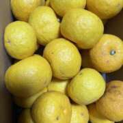 ヒメ日記 2025/12/13 00:11 投稿 富田 えり こあくまな熟女たち三河店（KOAKUMAグループ）