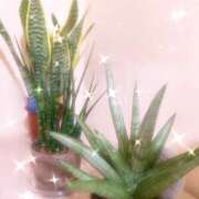 ヒメ日記 2026/01/14 09:20 投稿 富田 えり こあくまな熟女たち三河店（KOAKUMAグループ）