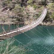 ヒメ日記 2026/03/14 10:51 投稿 富田 えり こあくまな熟女たち三河店（KOAKUMAグループ）