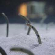 ヒメ日記 2025/11/02 19:42 投稿 かすみ 大阪痴女性感フェチ倶楽部