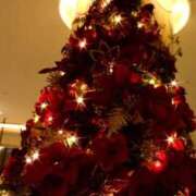 ヒメ日記 2025/12/15 10:22 投稿 かすみ 大阪痴女性感フェチ倶楽部