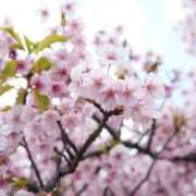 ヒメ日記 2026/04/01 21:32 投稿 かすみ 大阪痴女性感フェチ倶楽部