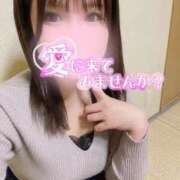 ヒメ日記 2025/02/05 11:41 投稿 えみり ミセス ファースト -お姉さん・若妻専門店-