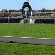 ヒメ日記 2025/02/09 09:04 投稿 織田(おだ) 八王子人妻城