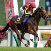 ヒメ日記 2025/04/27 22:18 投稿 織田(おだ) 八王子人妻城