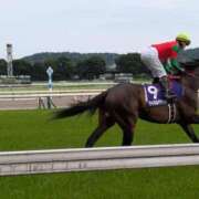 ヒメ日記 2025/05/13 01:48 投稿 織田(おだ) 八王子人妻城