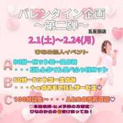 ヒメ日記 2025/02/14 11:26 投稿 ひなの ハピネス東京