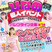 ヒメ日記 2025/02/18 05:30 投稿 ひなの ハピネス東京