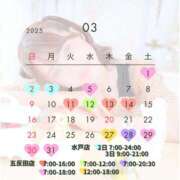 ヒメ日記 2025/02/19 15:33 投稿 ひなの ハピネス東京