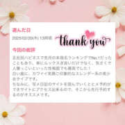 ヒメ日記 2025/03/03 17:00 投稿 ひなの ハピネス東京