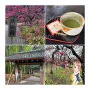 ヒメ日記 2025/03/06 05:37 投稿 ひなの ハピネス東京