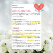 ヒメ日記 2025/03/19 17:13 投稿 ひなの ハピネス東京