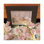 ヒメ日記 2025/03/21 16:47 投稿 ひなの ハピネス東京