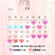 ヒメ日記 2025/03/29 06:47 投稿 ひなの ハピネス東京