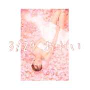 ヒメ日記 2025/03/29 22:07 投稿 ひなの ハピネス東京