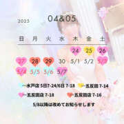 ヒメ日記 2025/04/13 05:27 投稿 ひなの ハピネス東京