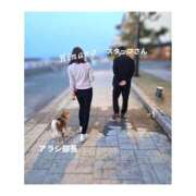 ヒメ日記 2025/04/17 05:30 投稿 ひなの ハピネス東京