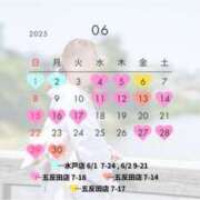 ヒメ日記 2025/05/22 17:17 投稿 ひなの ハピネス東京