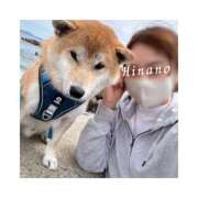 ヒメ日記 2025/05/27 10:37 投稿 ひなの ハピネス東京