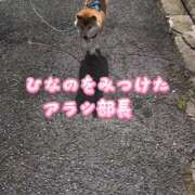 ヒメ日記 2025/05/27 15:27 投稿 ひなの ハピネス東京