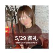 ヒメ日記 2025/05/29 20:37 投稿 ひなの ハピネス東京