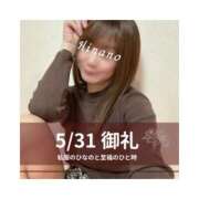 ヒメ日記 2025/05/31 20:27 投稿 ひなの ハピネス東京