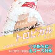 ヒメ日記 2025/06/20 08:27 投稿 ひなの ハピネス東京
