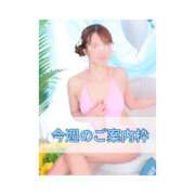 ヒメ日記 2025/07/08 09:27 投稿 ひなの ハピネス東京