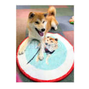 ヒメ日記 2025/07/17 15:49 投稿 ひなの ハピネス東京