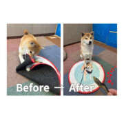 ヒメ日記 2025/07/21 15:17 投稿 ひなの ハピネス東京