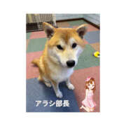 ヒメ日記 2025/08/16 08:37 投稿 ひなの ハピネス東京