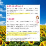 ヒメ日記 2025/08/18 19:17 投稿 ひなの ハピネス東京