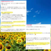 ヒメ日記 2025/08/19 11:47 投稿 ひなの ハピネス東京