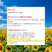 ヒメ日記 2025/08/29 16:57 投稿 ひなの ハピネス東京