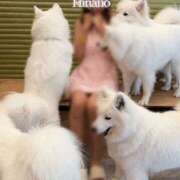 ヒメ日記 2025/09/02 13:12 投稿 ひなの ハピネス東京