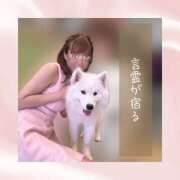 ヒメ日記 2025/10/05 09:17 投稿 ひなの ハピネス東京