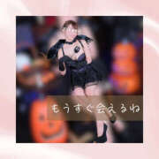 ヒメ日記 2025/10/13 05:33 投稿 ひなの ハピネス東京