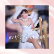 ヒメ日記 2025/10/24 11:37 投稿 ひなの ハピネス東京