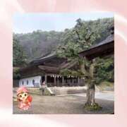 ヒメ日記 2026/02/07 08:07 投稿 ひなの ハピネス東京