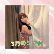 ヒメ日記 2026/02/13 16:37 投稿 ひなの ハピネス東京