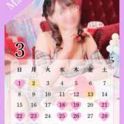 ヒメ日記 2026/02/14 10:07 投稿 ひなの ハピネス東京