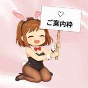 ヒメ日記 2026/02/17 12:54 投稿 ひなの ハピネス東京