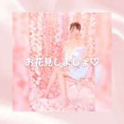 ヒメ日記 2026/03/20 08:07 投稿 ひなの ハピネス東京