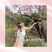 ヒメ日記 2026/03/31 08:17 投稿 ひなの ハピネス東京