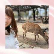 ヒメ日記 2026/04/01 08:07 投稿 ひなの ハピネス東京