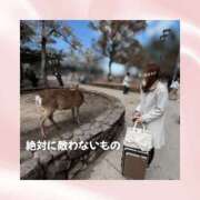 ヒメ日記 2026/04/03 08:07 投稿 ひなの ハピネス東京