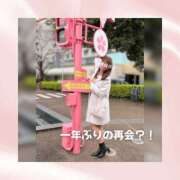 ヒメ日記 2026/04/05 17:47 投稿 ひなの ハピネス東京