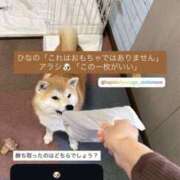 ヒメ日記 2026/04/23 08:10 投稿 ひなの ハピネス東京