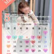 ヒメ日記 2026/04/26 11:17 投稿 ひなの ハピネス東京