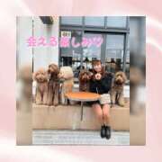 ヒメ日記 2026/05/09 12:40 投稿 ひなの ハピネス東京